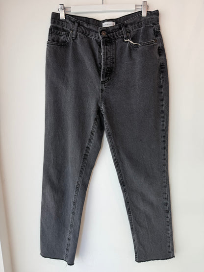 Scanlan Theodore Tapered Jeans ~ size 29