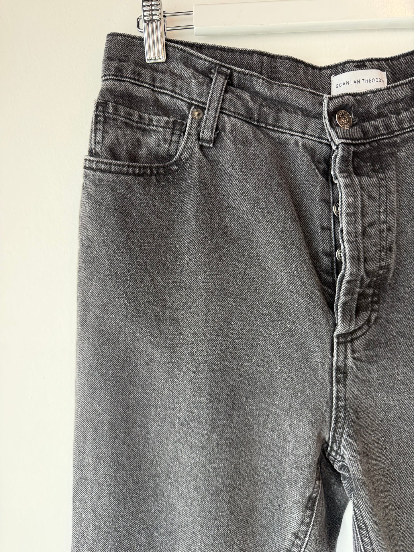 Scanlan Theodore Tapered Jeans ~ size 29