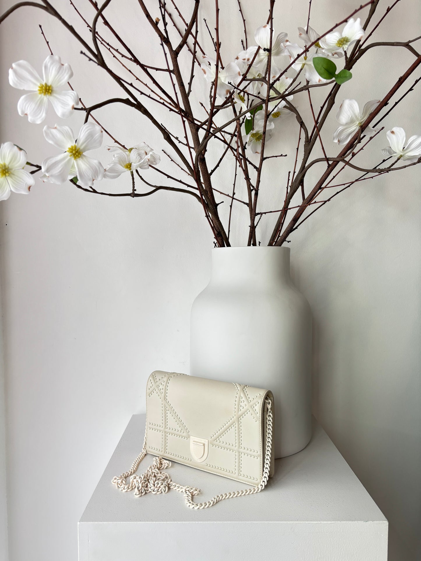 Christian Dior 'Diorama' Wallet on Chain