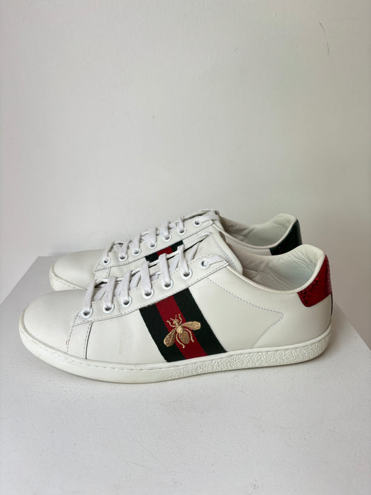 Gucci 'Ace' Sneakers ~ size 37