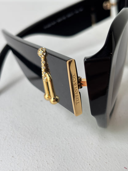 Tiffany & Co 'TF4207-B' Sunglasses