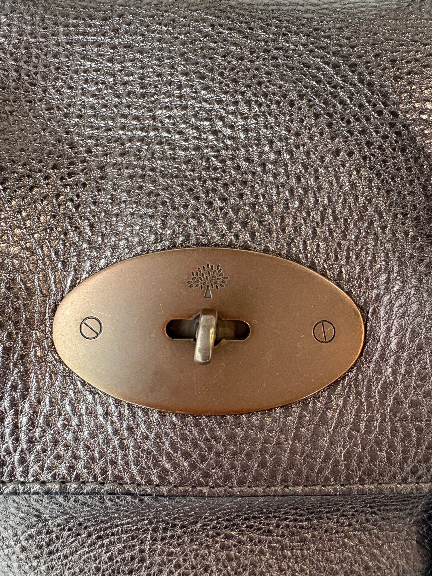 Mulberry 'Bayswater' Braided Metallic Tote