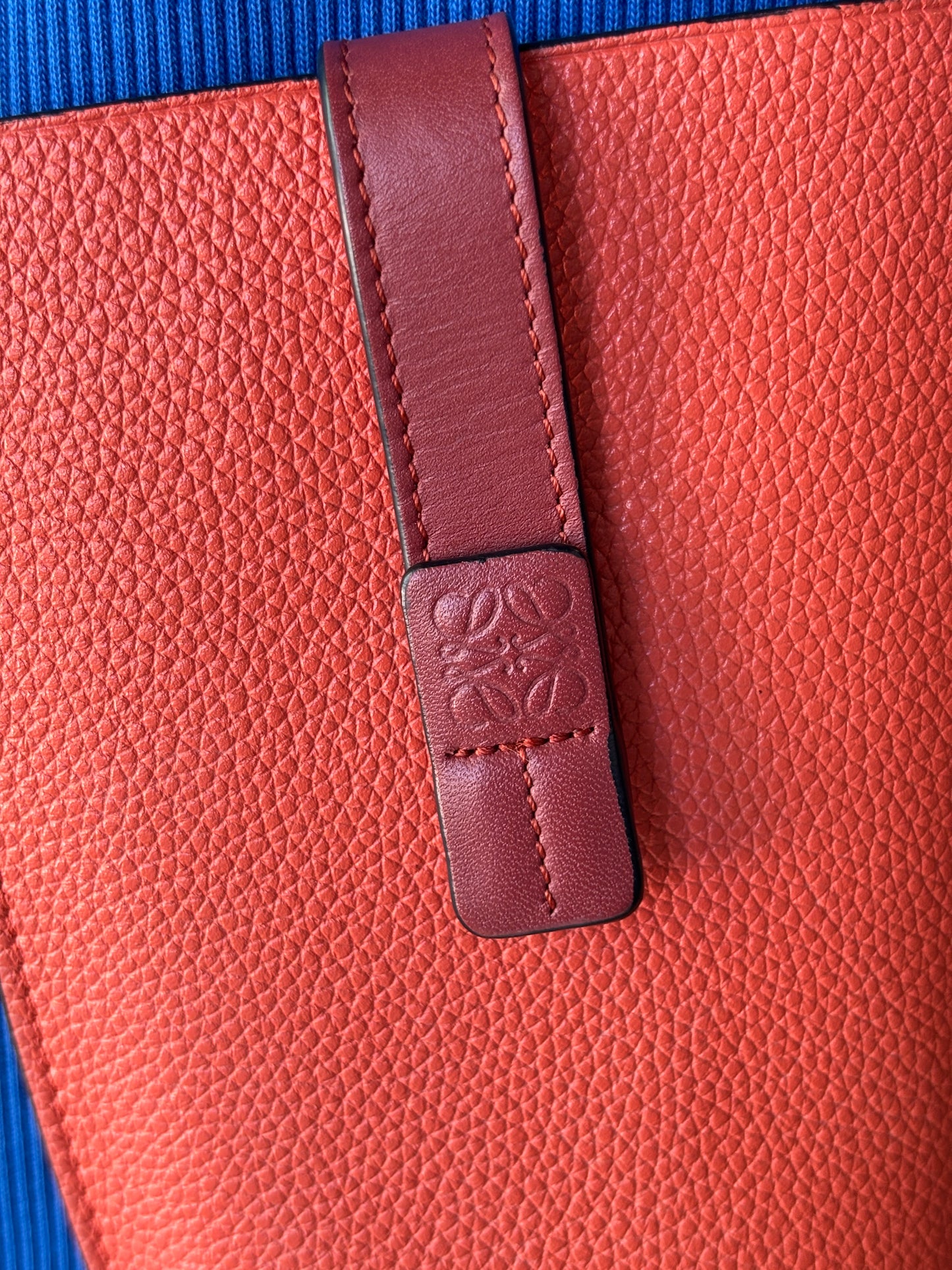 Loewe Crossbody Pouch