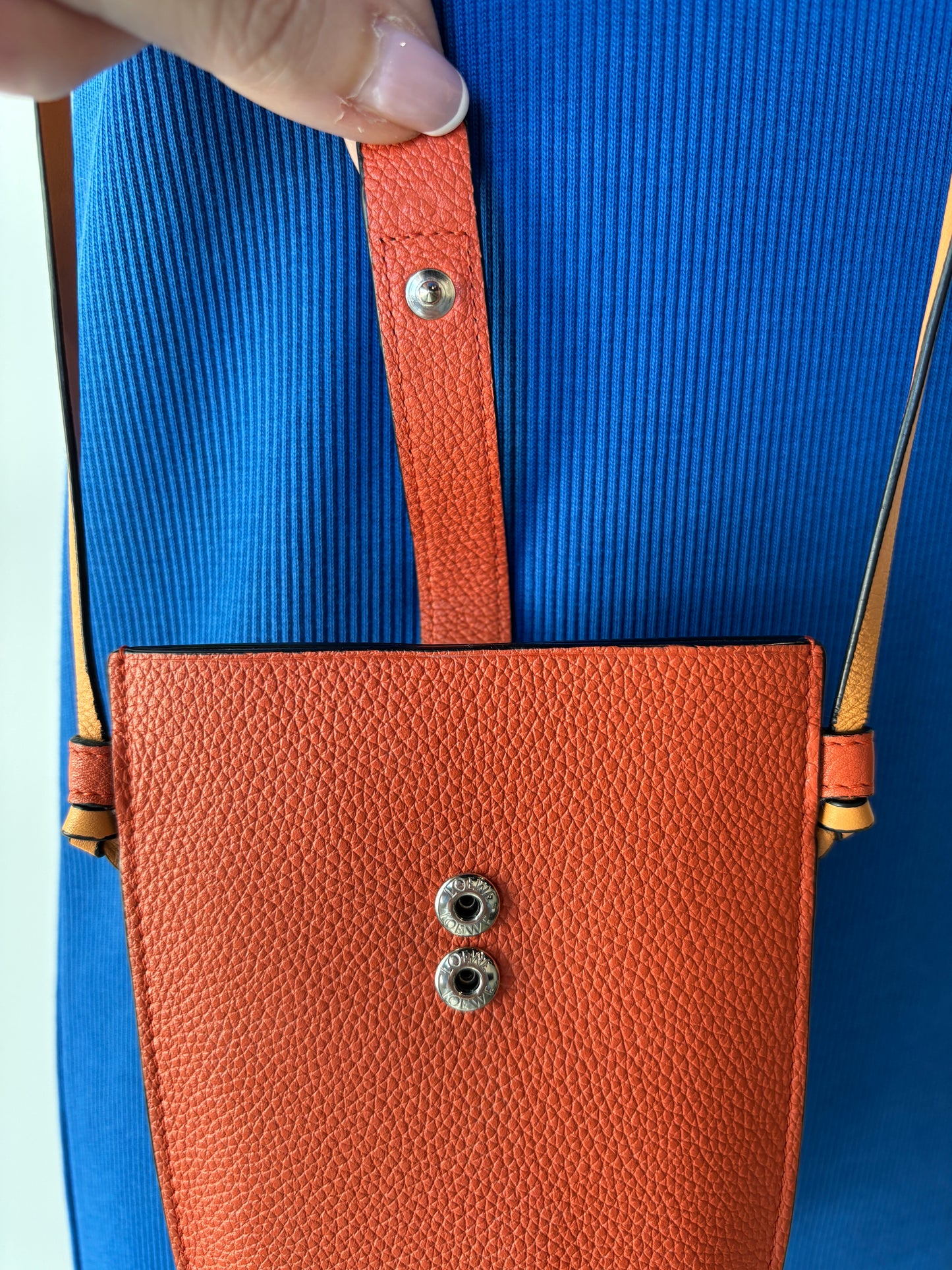 Loewe Crossbody Pouch