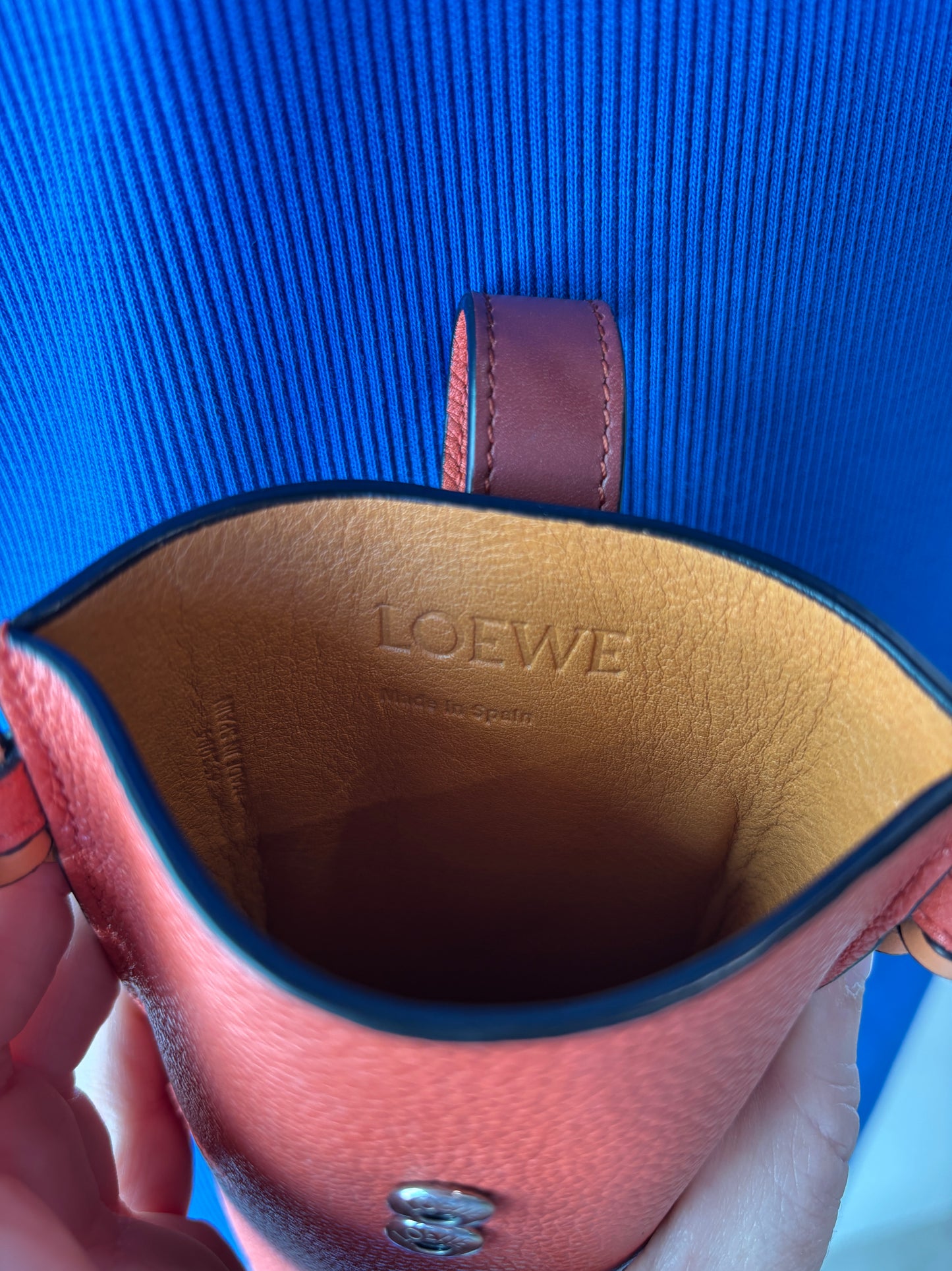 Loewe Crossbody Pouch